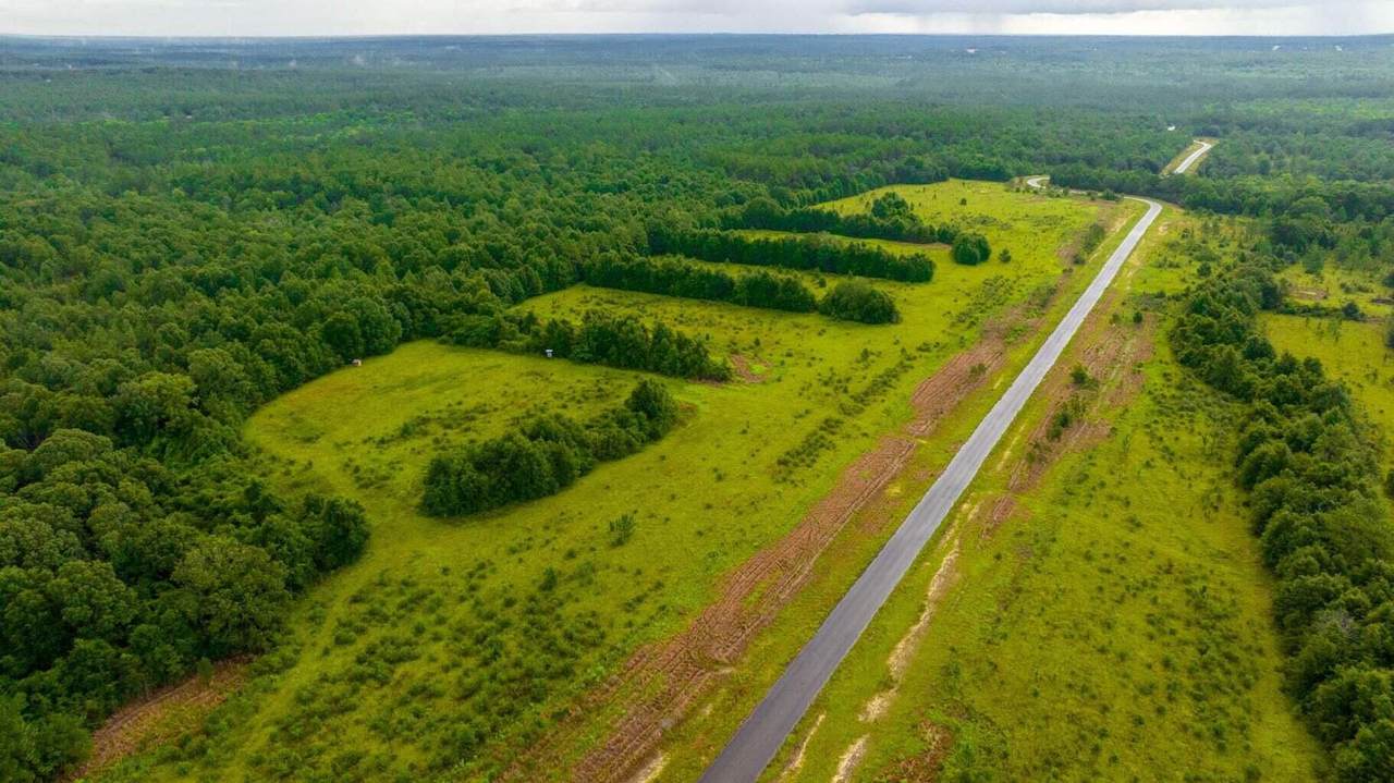 A-2 Long Branch Farms Road - Photo 1