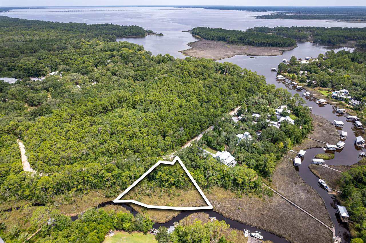 Lot 1 Dog-Hobble Lane - Photo 1