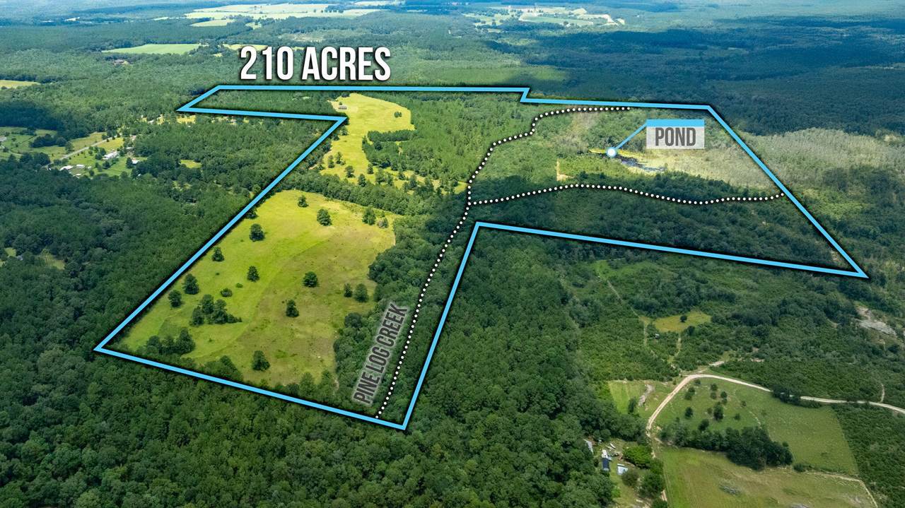 820 Windy Hill Road - Photo 1