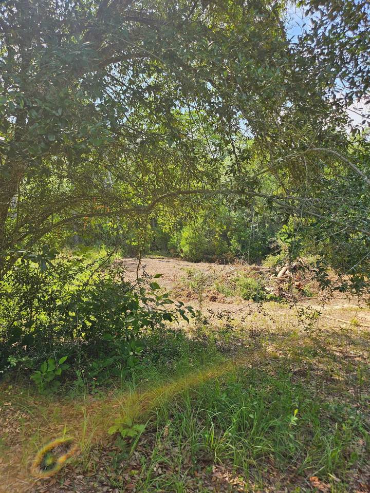 4957 Timothy Twitchell Drive - Photo 1