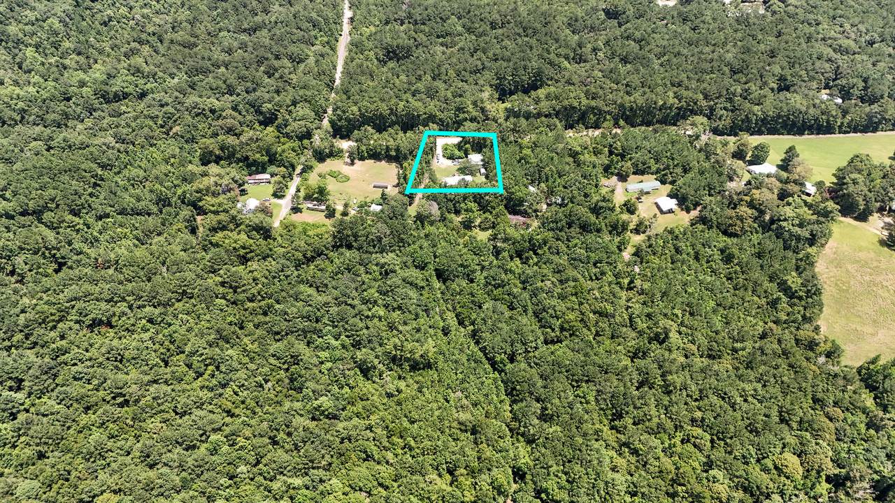 0 Strickland Road - Photo 1