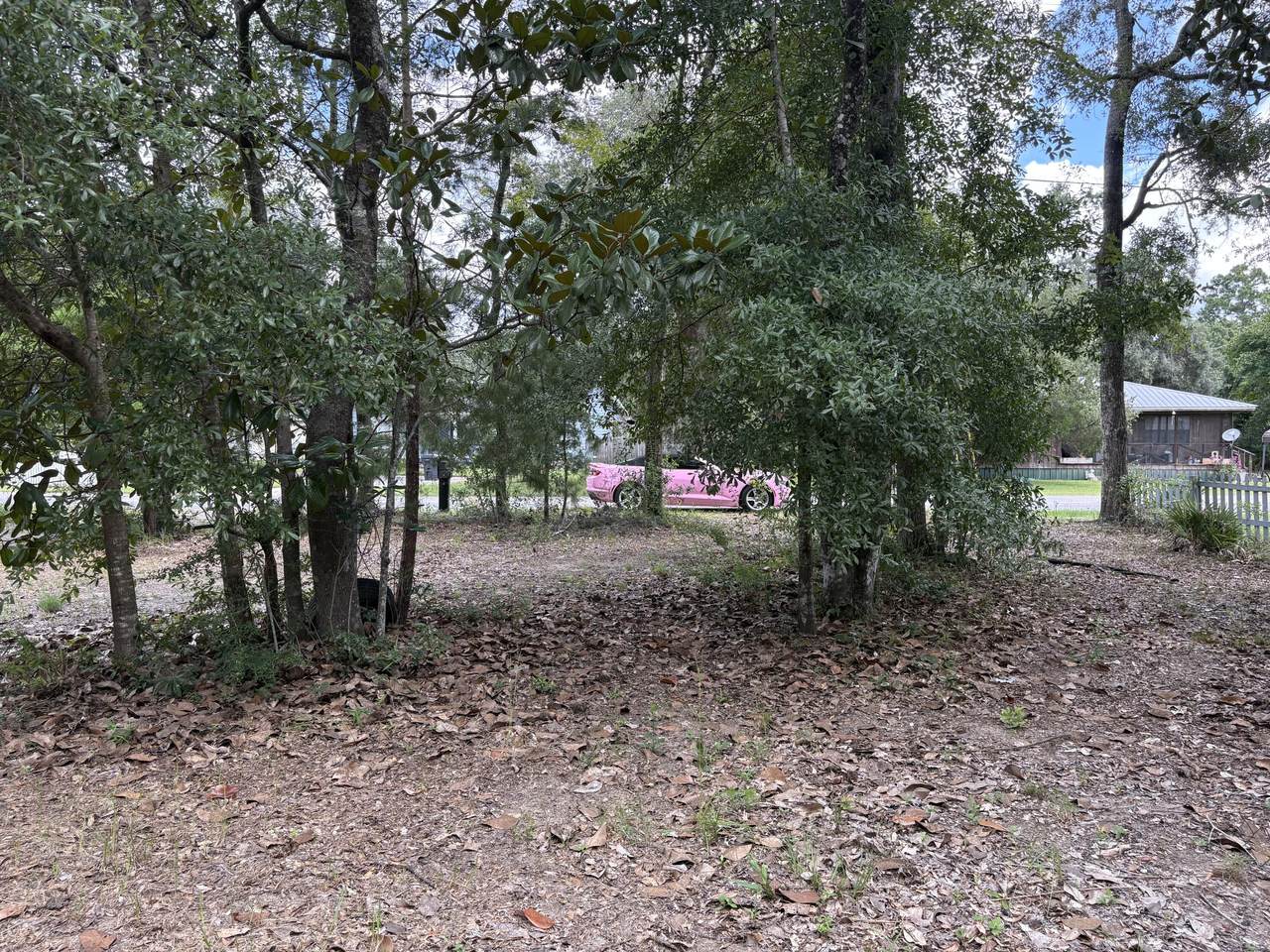 188 Palmetto Avenue - Photo 1