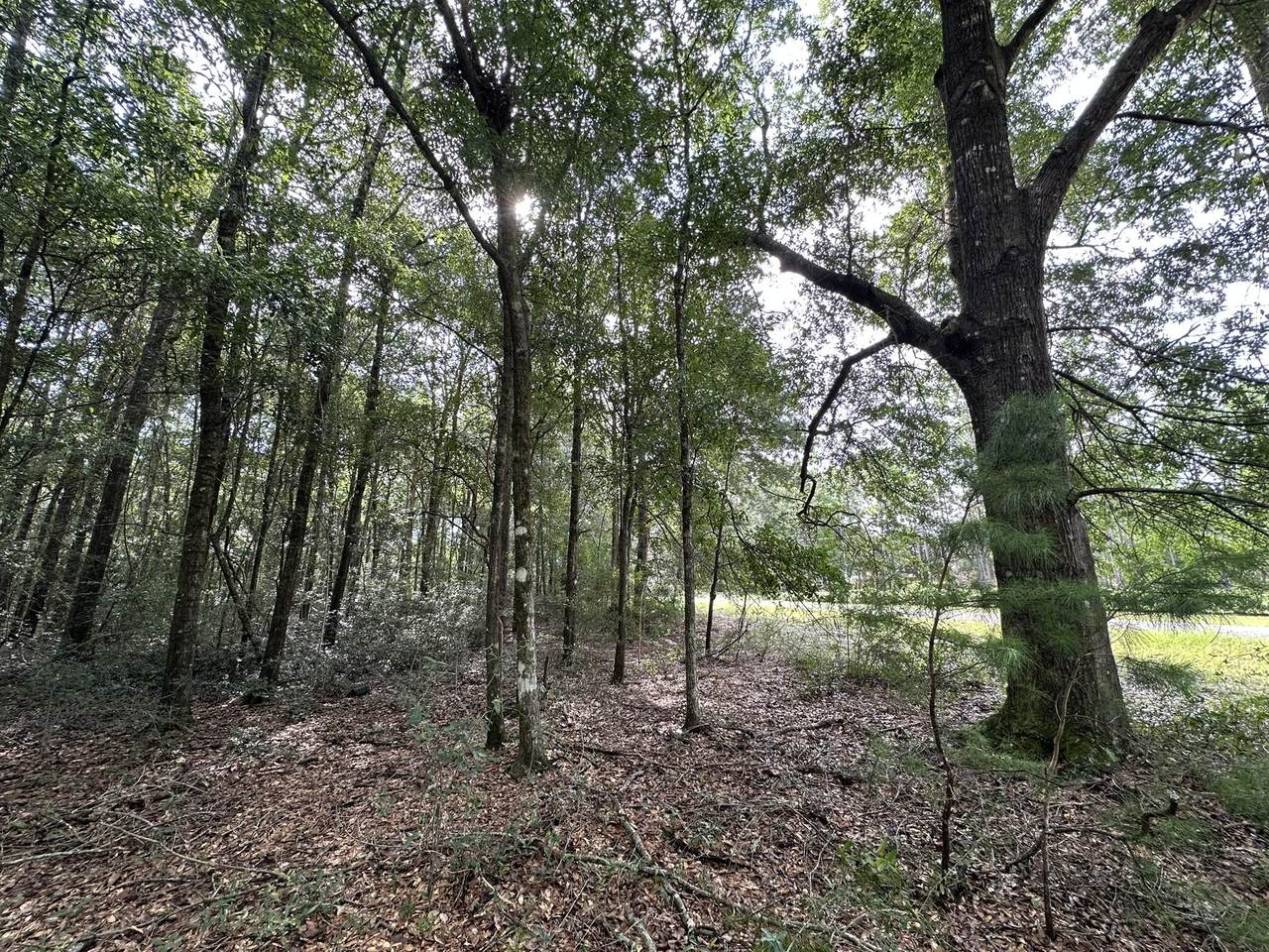 Lot D Pineforest Drive - Photo 1