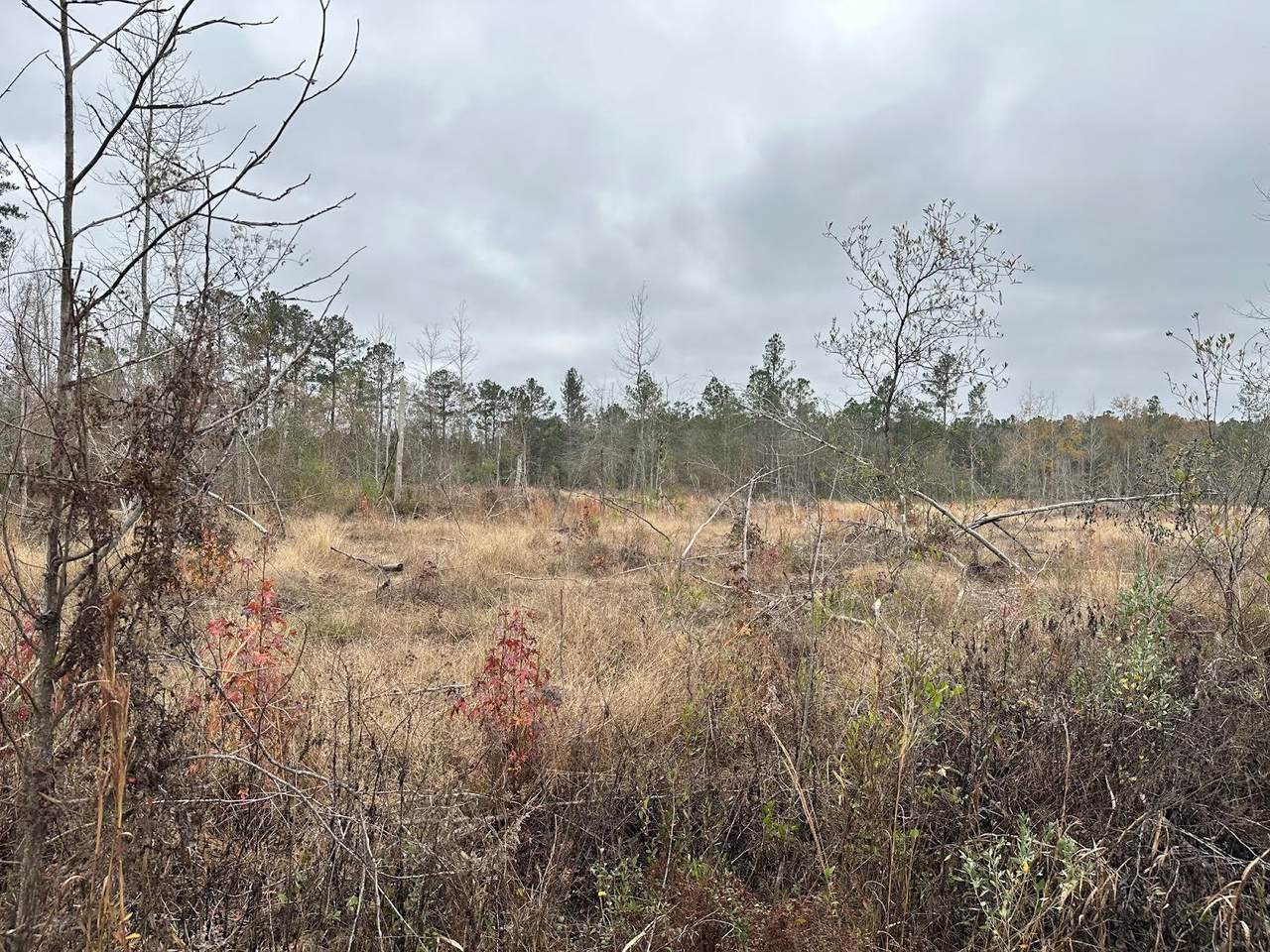 Tract#6402 Chance Road - Photo 1