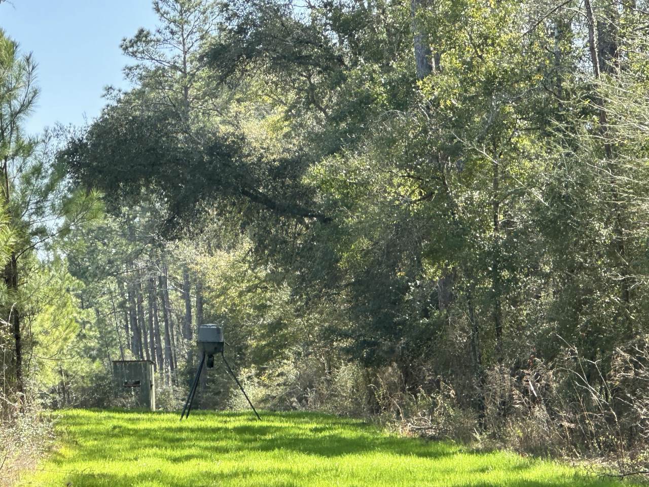 Tract#6416 Douglas Ferry Road - Photo 1