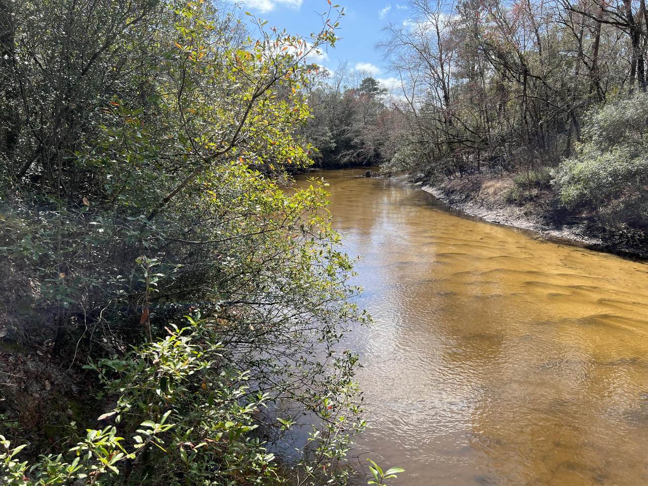 X Eagles Way - Photo 1