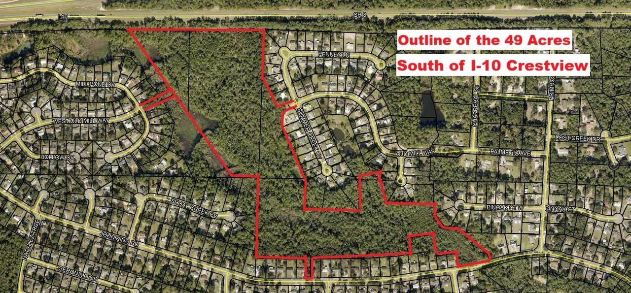 49 Acres Summer Creek Cv & John King Rd - Photo 1