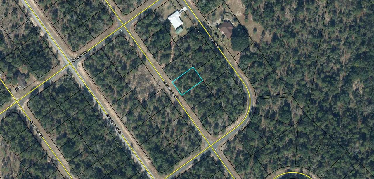 Lot 11 Walkerton Drive - Photo 1