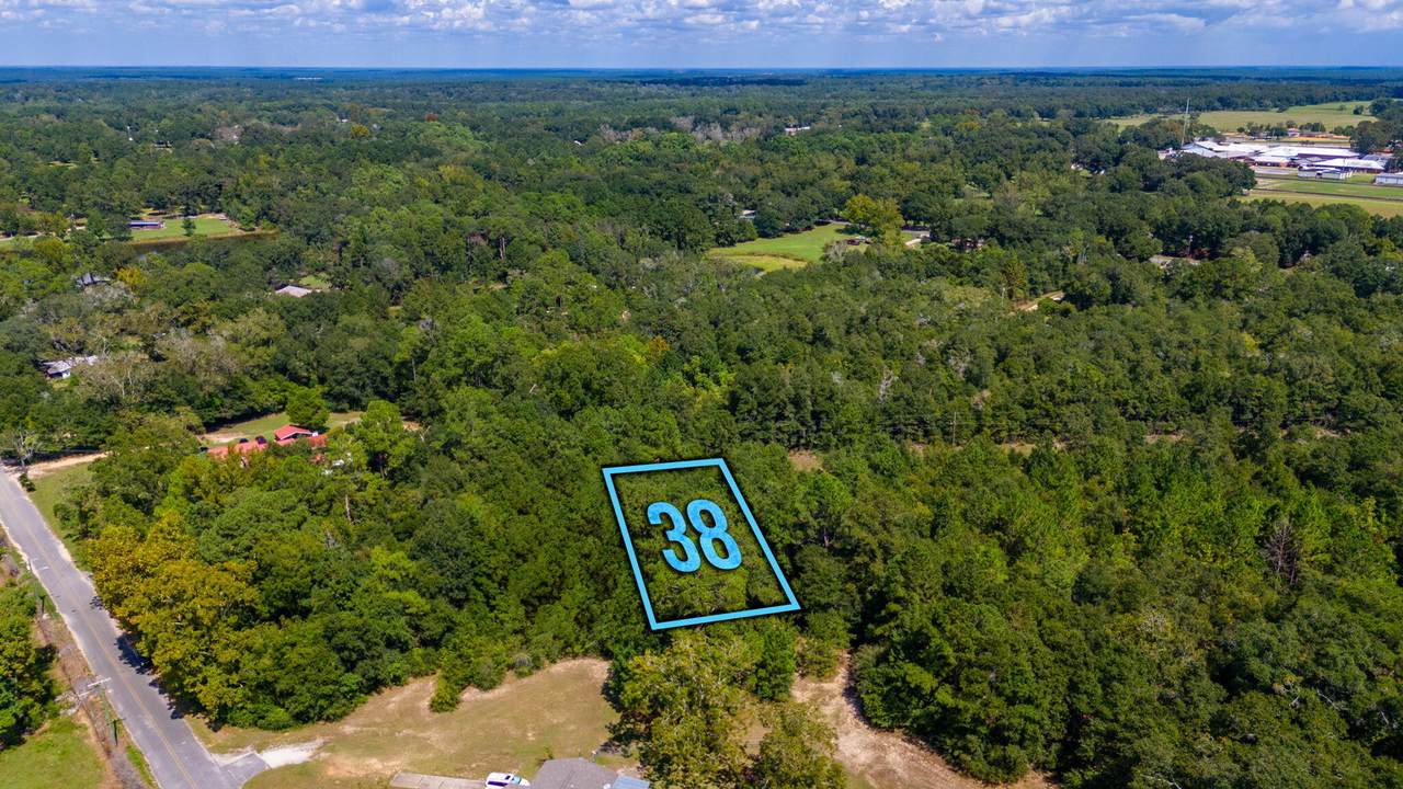 LOT 38 Blueberry Drive - Photo 1