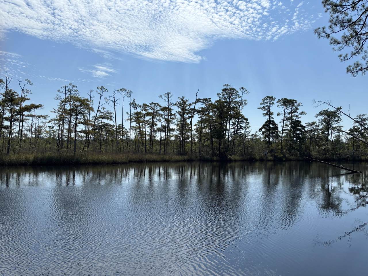 00 Portland Park Road - Photo 1