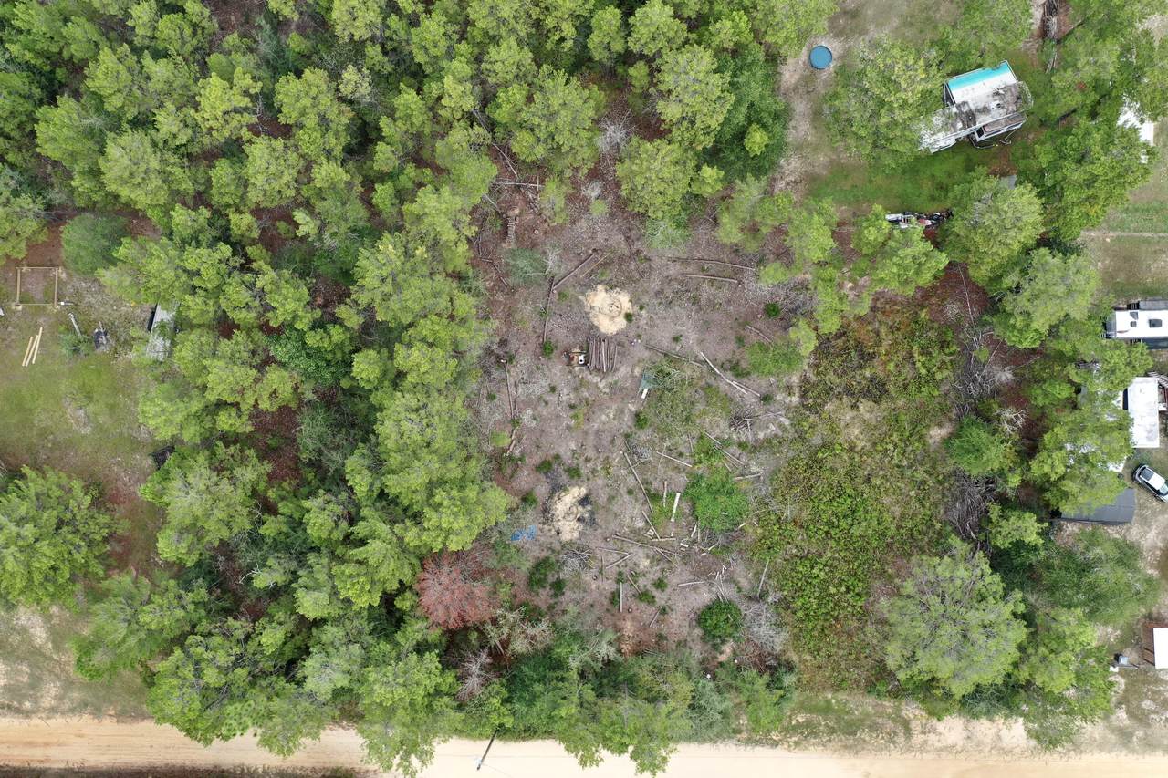 2 Bluebottle Court - Photo 1