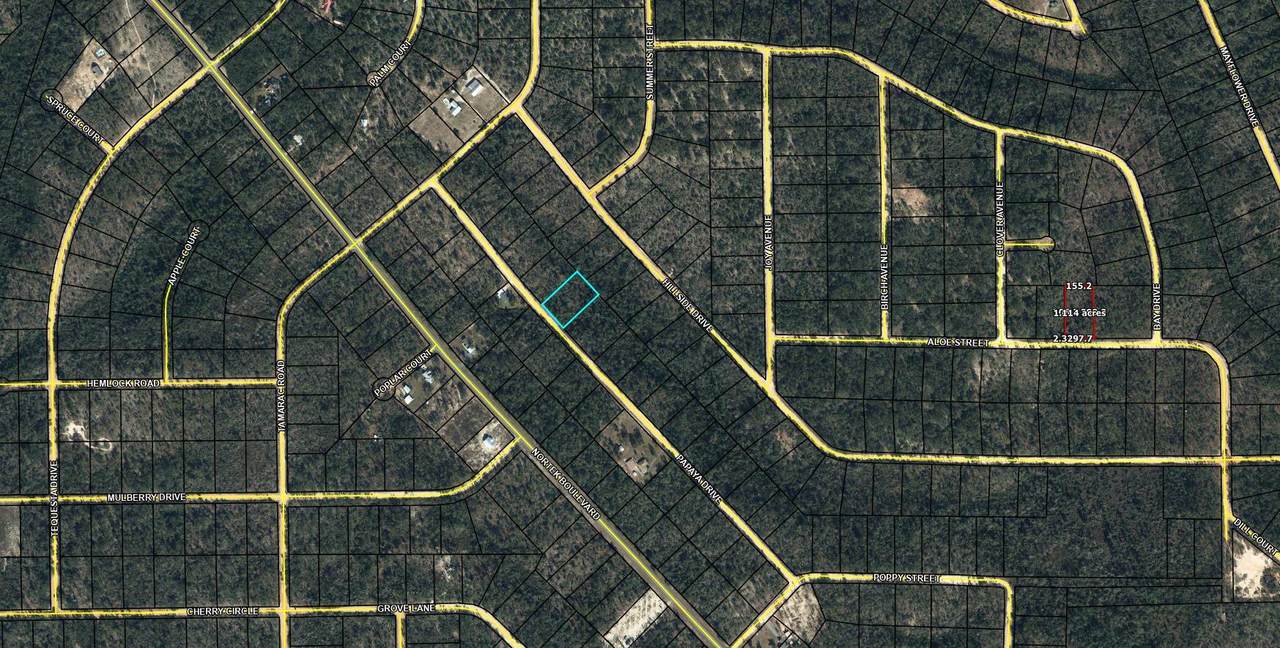 Lot 54 Papaya Street - Photo 1