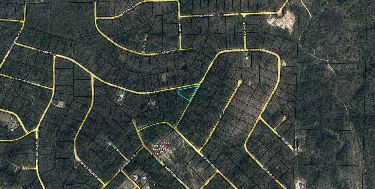 Lot 31 Aster Circle - Photo 1