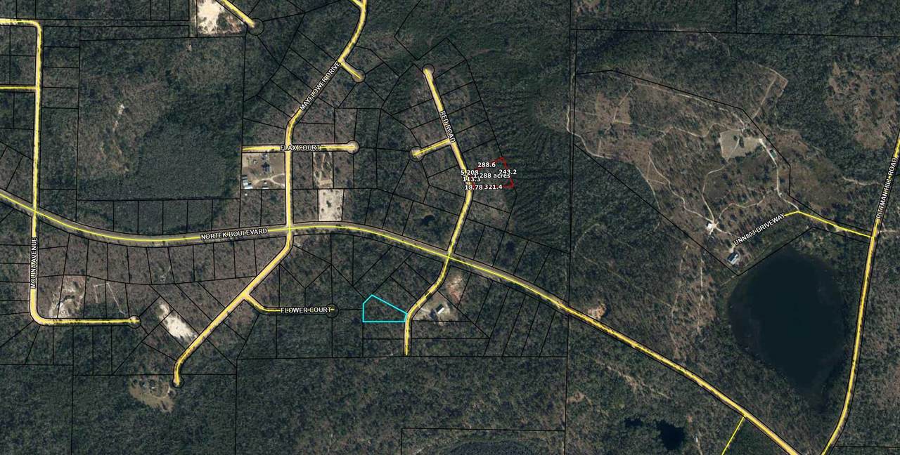 Lot 29 Red Road - Photo 1