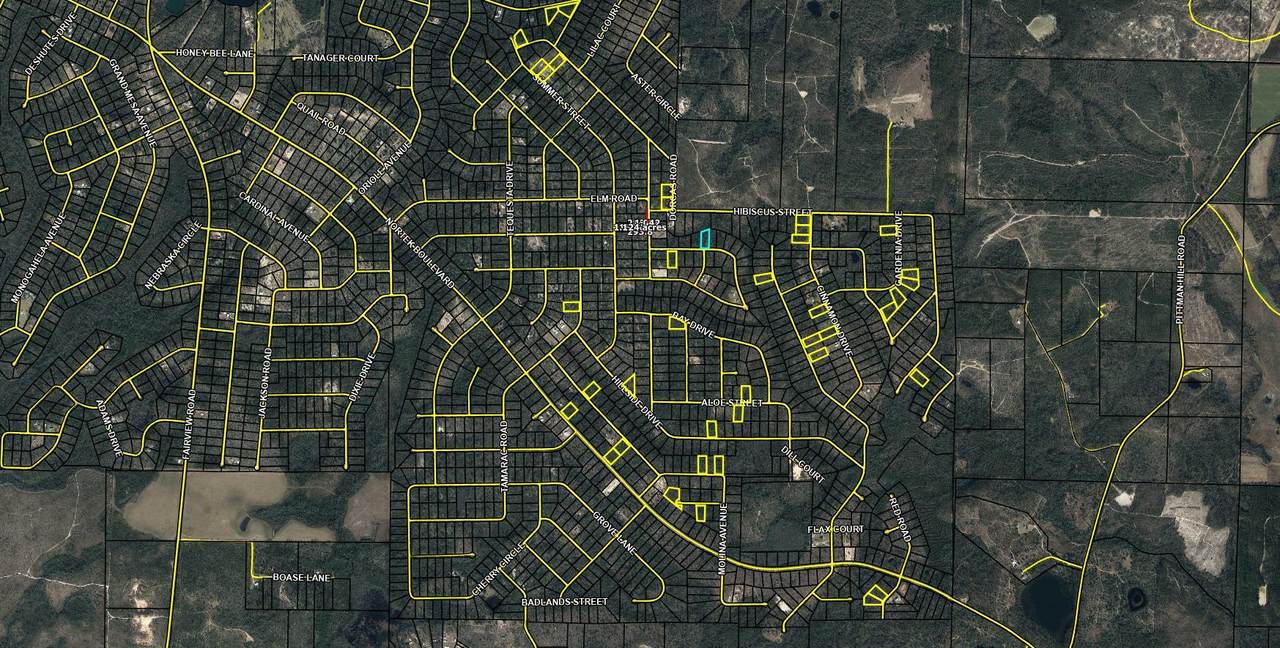 Lot 8 Cane Street - Photo 1