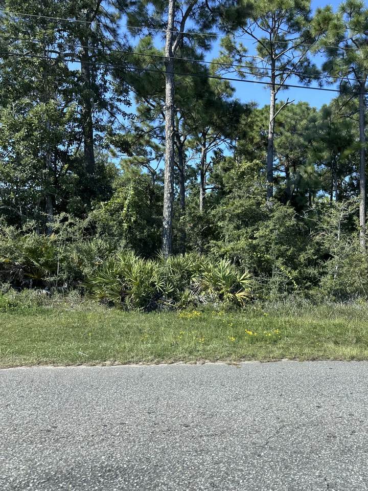 8140 Frontera Street - Photo 1