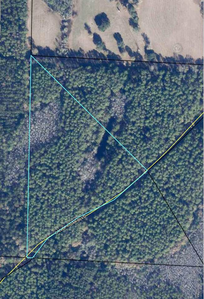 5 Canopy Oaks Blvd - Photo 1