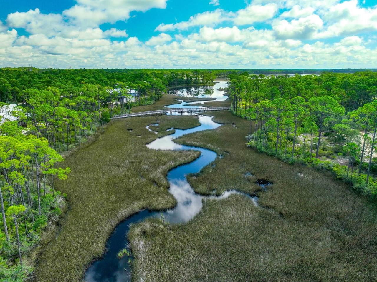 6326 River House Drive - Photo 1