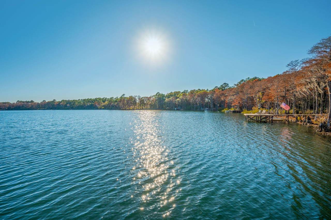 516 Blue Pond Circle - Photo 1