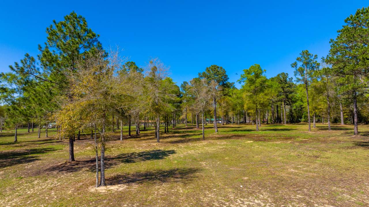 20 Acres Cannon Drive - Photo 1