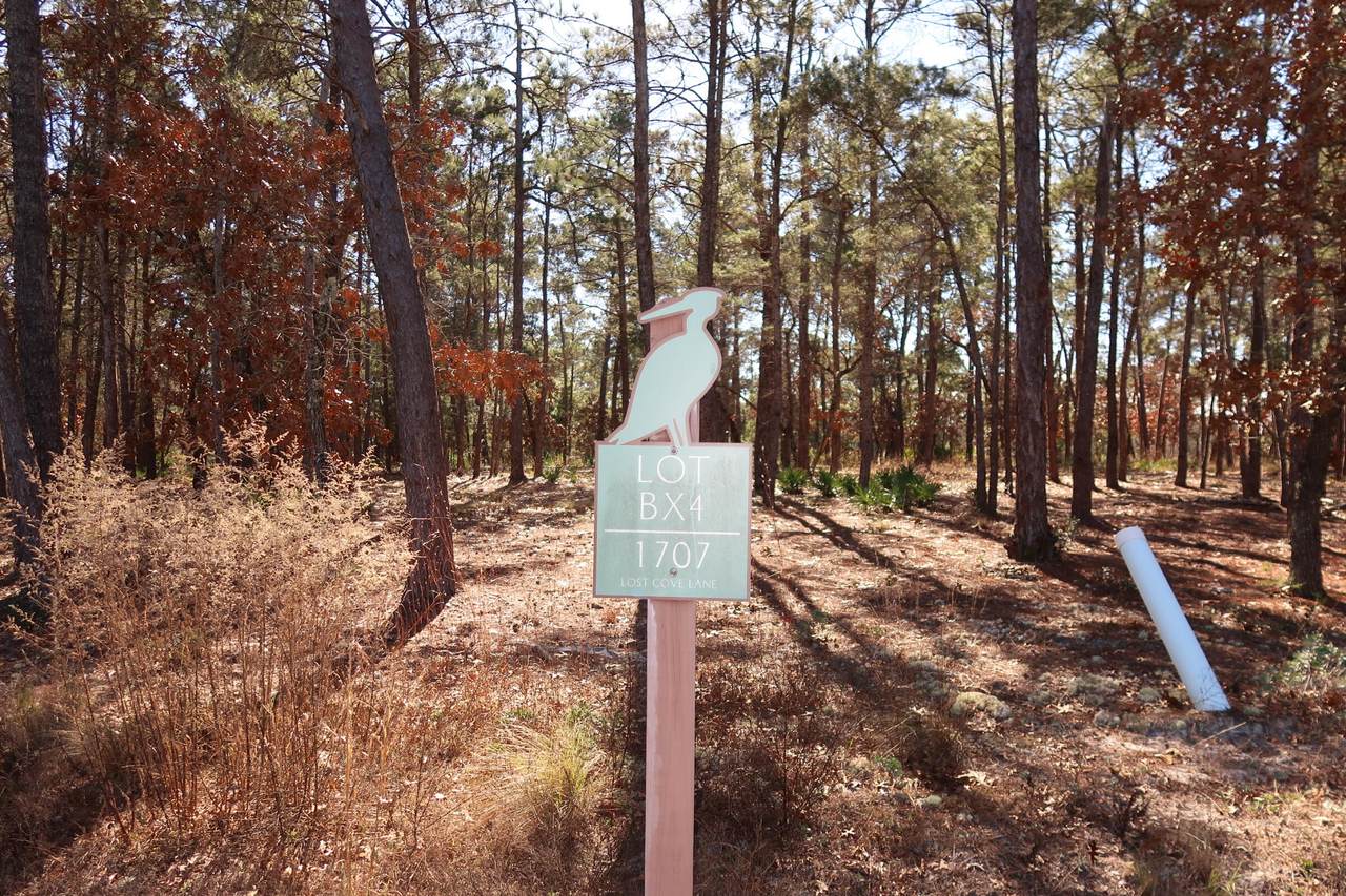 1707 Lost Cove Lane - Photo 1