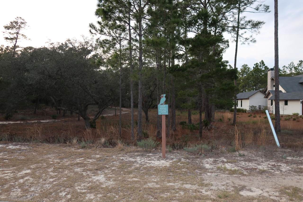 1539 Shark's Tooth Trail - Photo 1