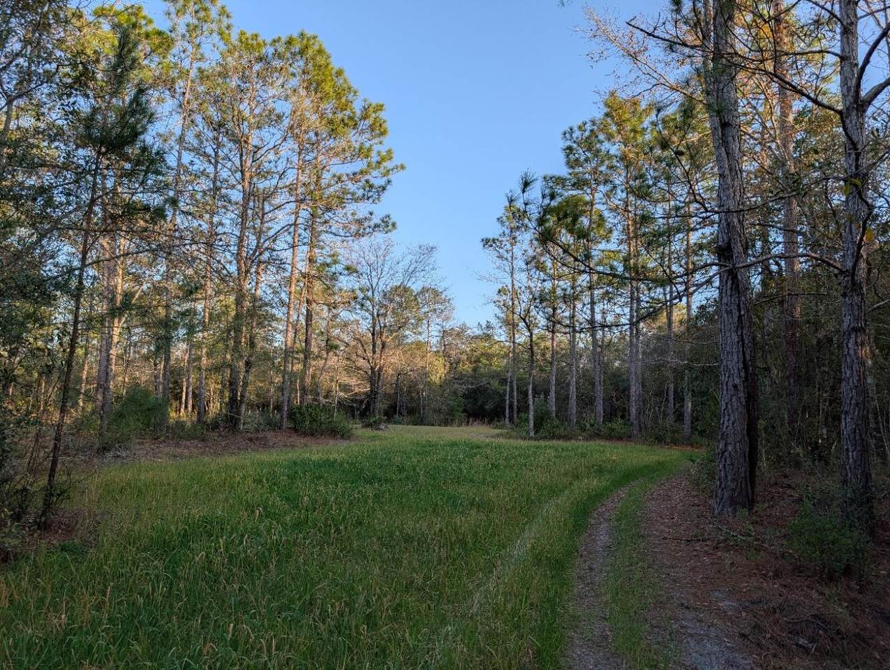 TBD Sowell Drive - Photo 1