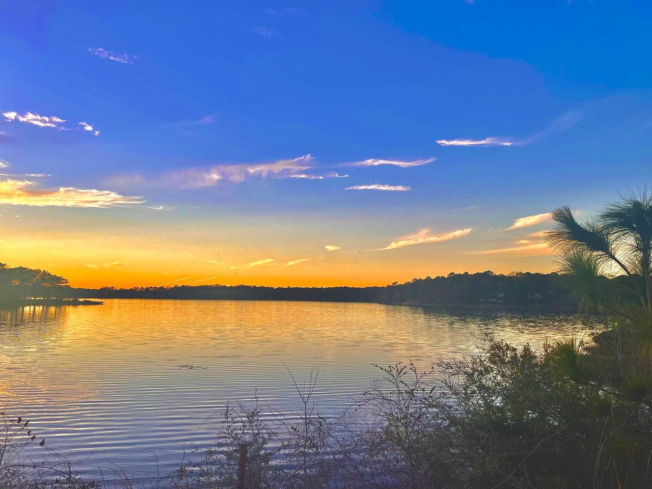 Lot 30 Holly Lake Court - Photo 1