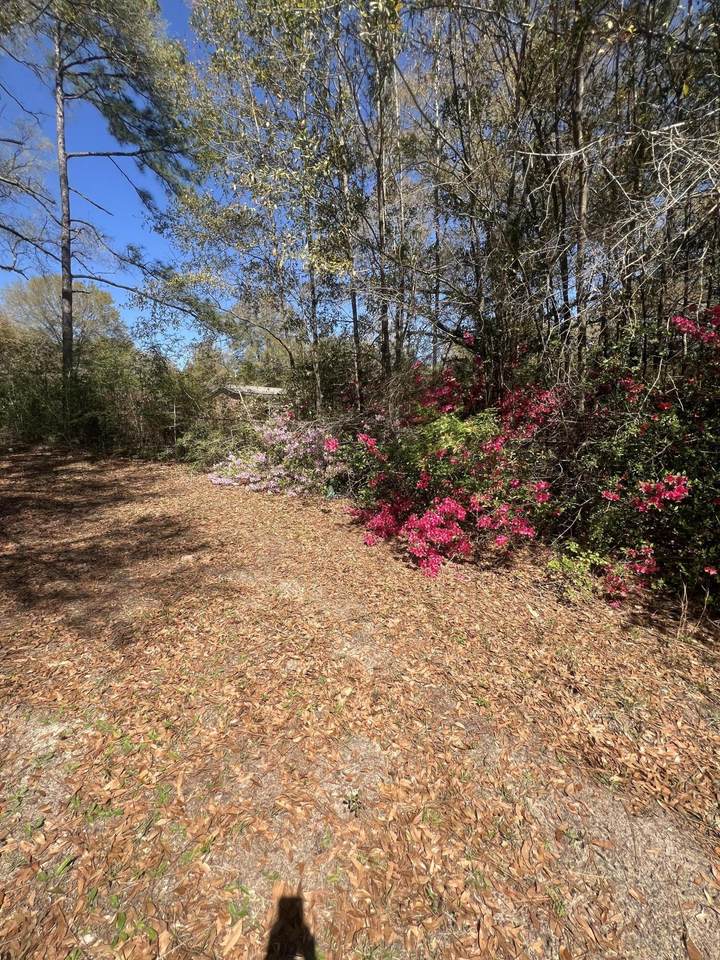 1721 Highway 90 - Photo 1