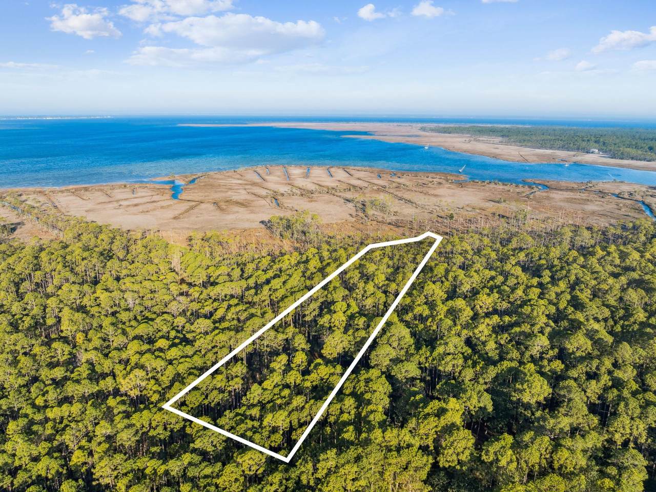 Lot 13-22 Block 87 N 16th Street - Photo 1