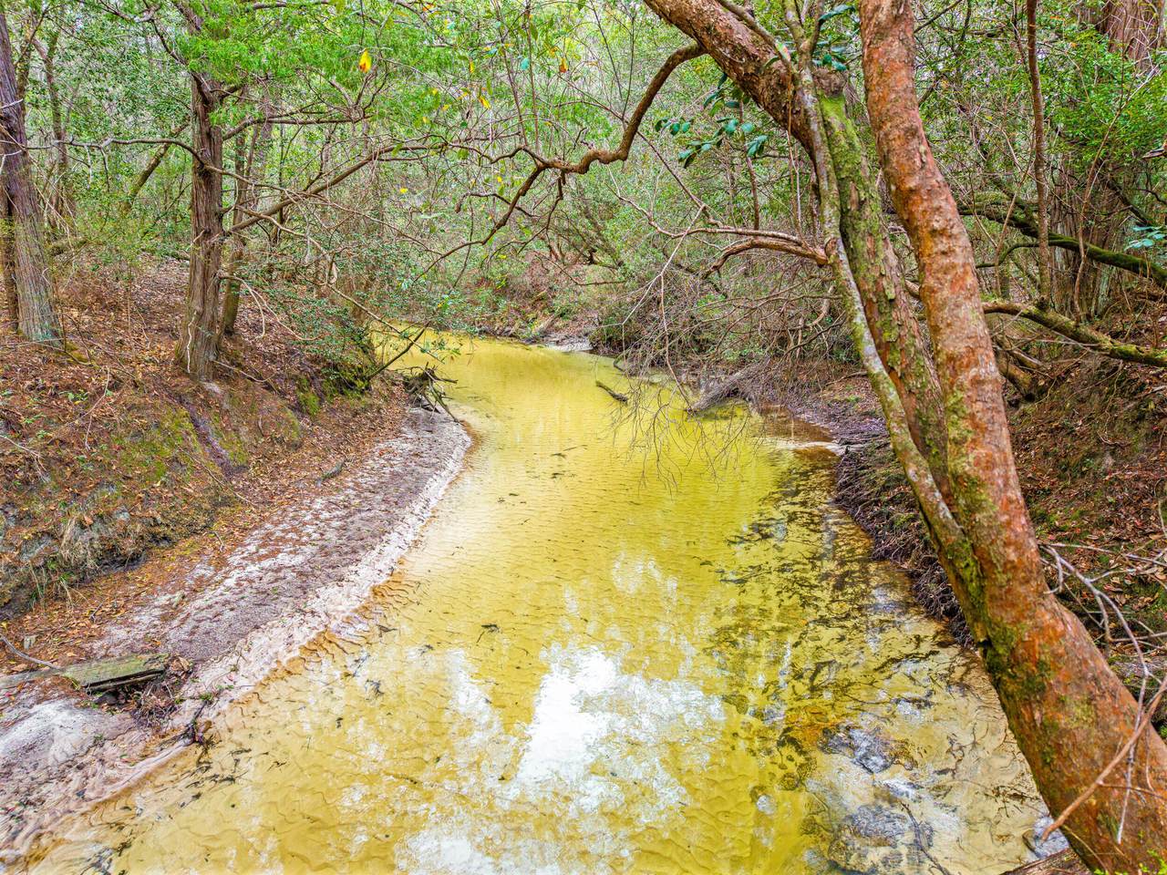 6130 Sherman Kennedy Road - Photo 1