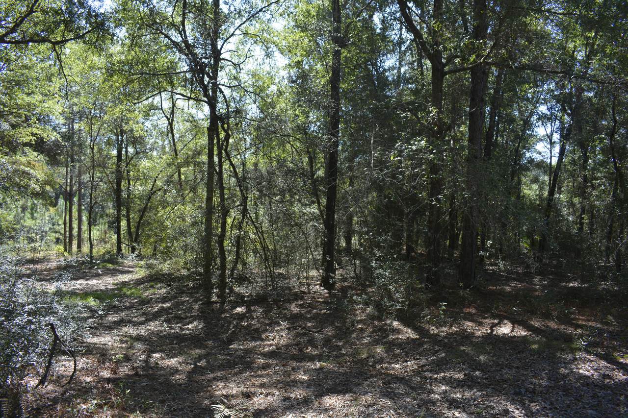 xxx Aplin (32 Ac.) Road - Photo 1