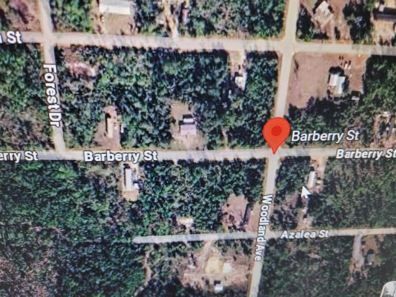 0 Barberry Street - Photo 1