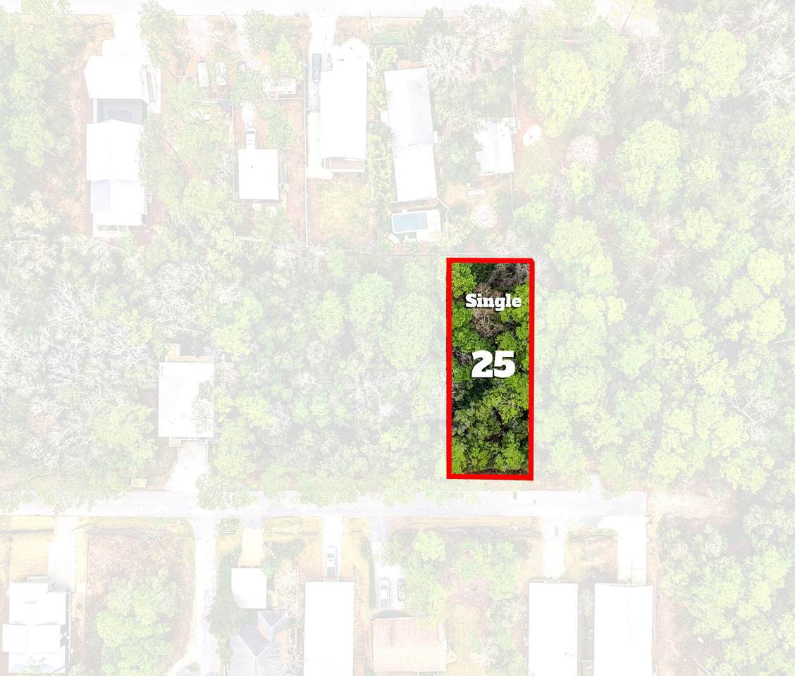 Lot 25 E. Wild Blueberry Way - Photo 1