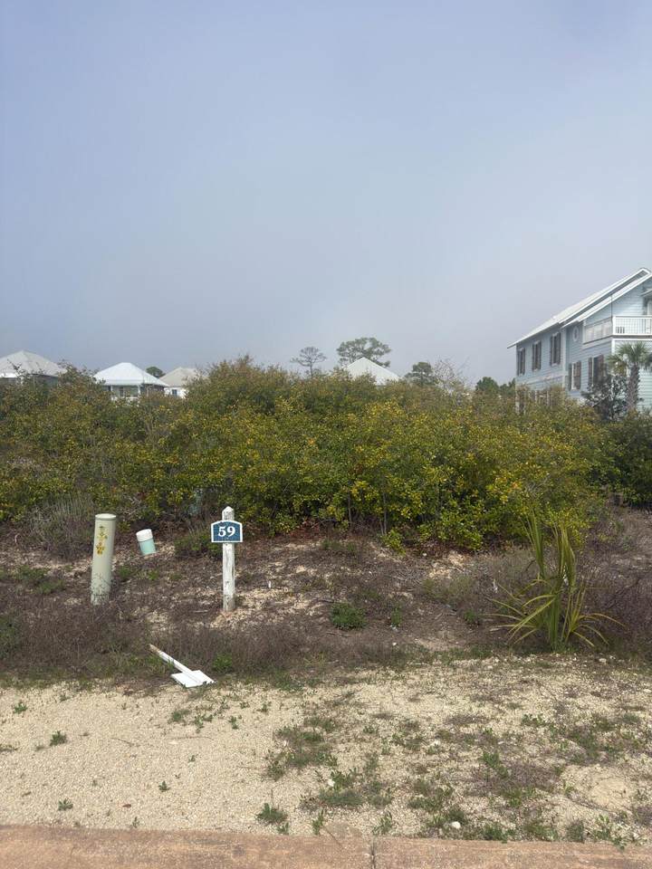 Lot 59 Loggerhead Lane - Photo 1