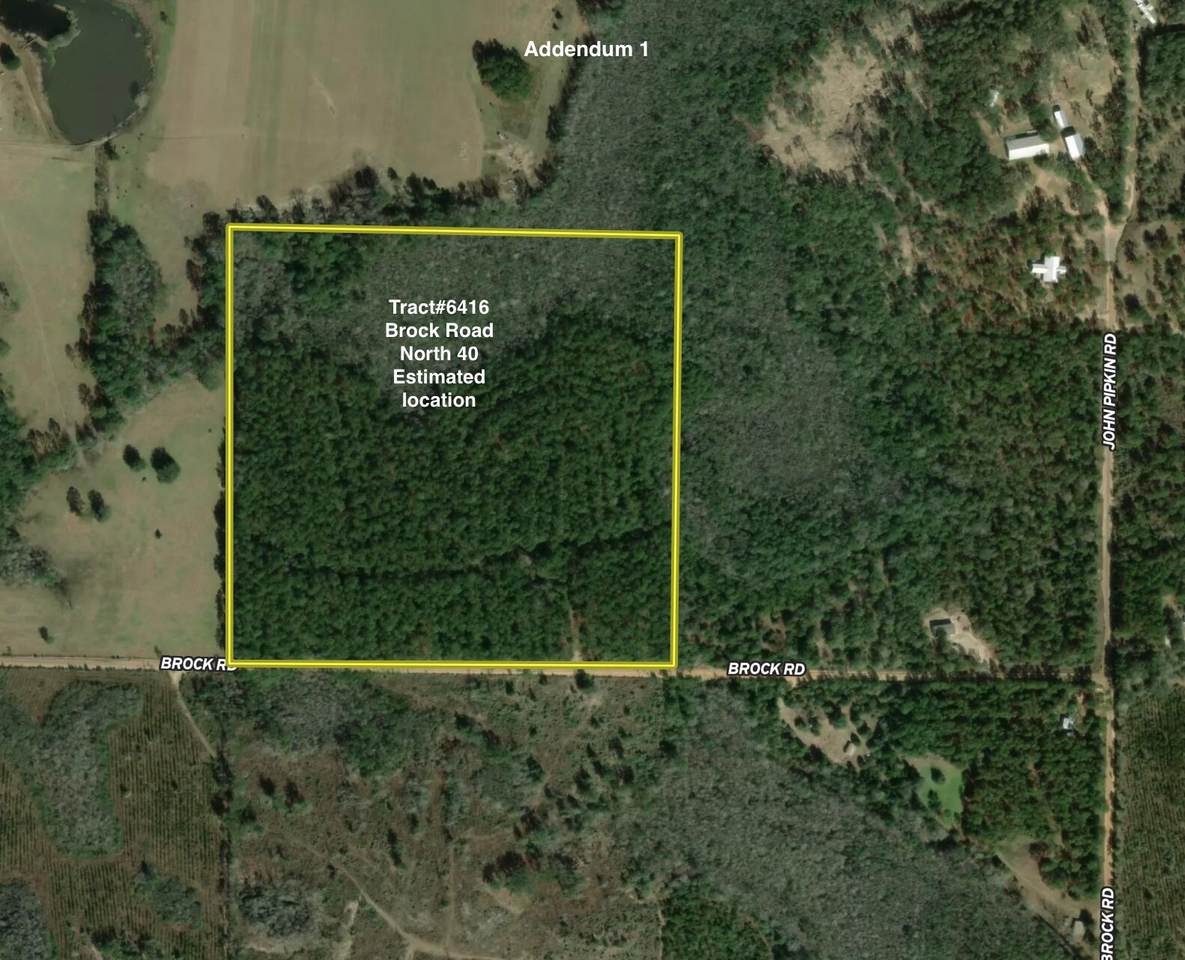 6416 Brock Road - Photo 1