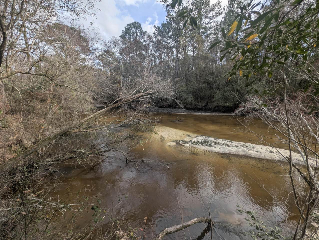 Lot 9 Plantation Lane - Photo 1