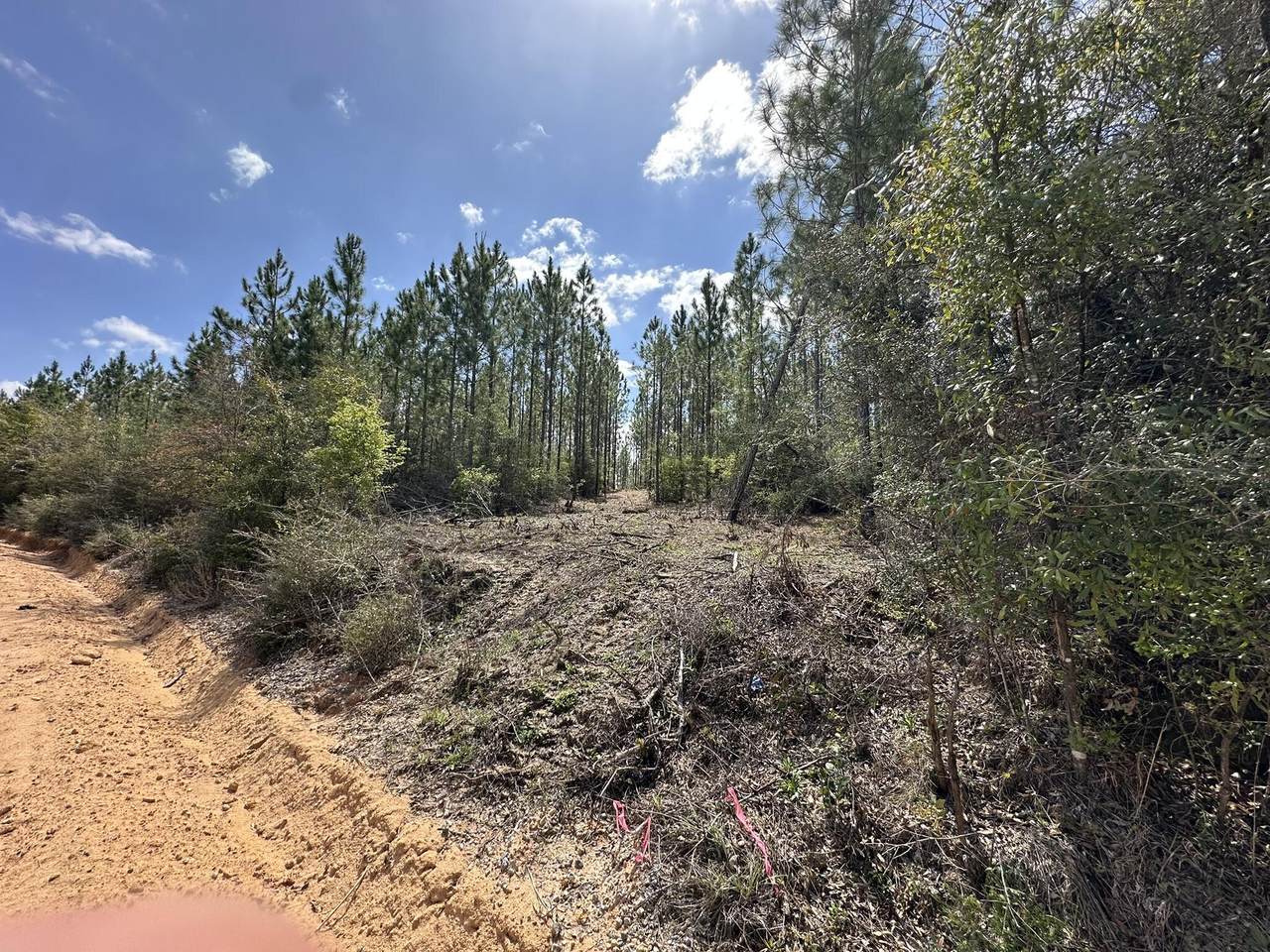 Tract#6418 Mattox Springs - Photo 1