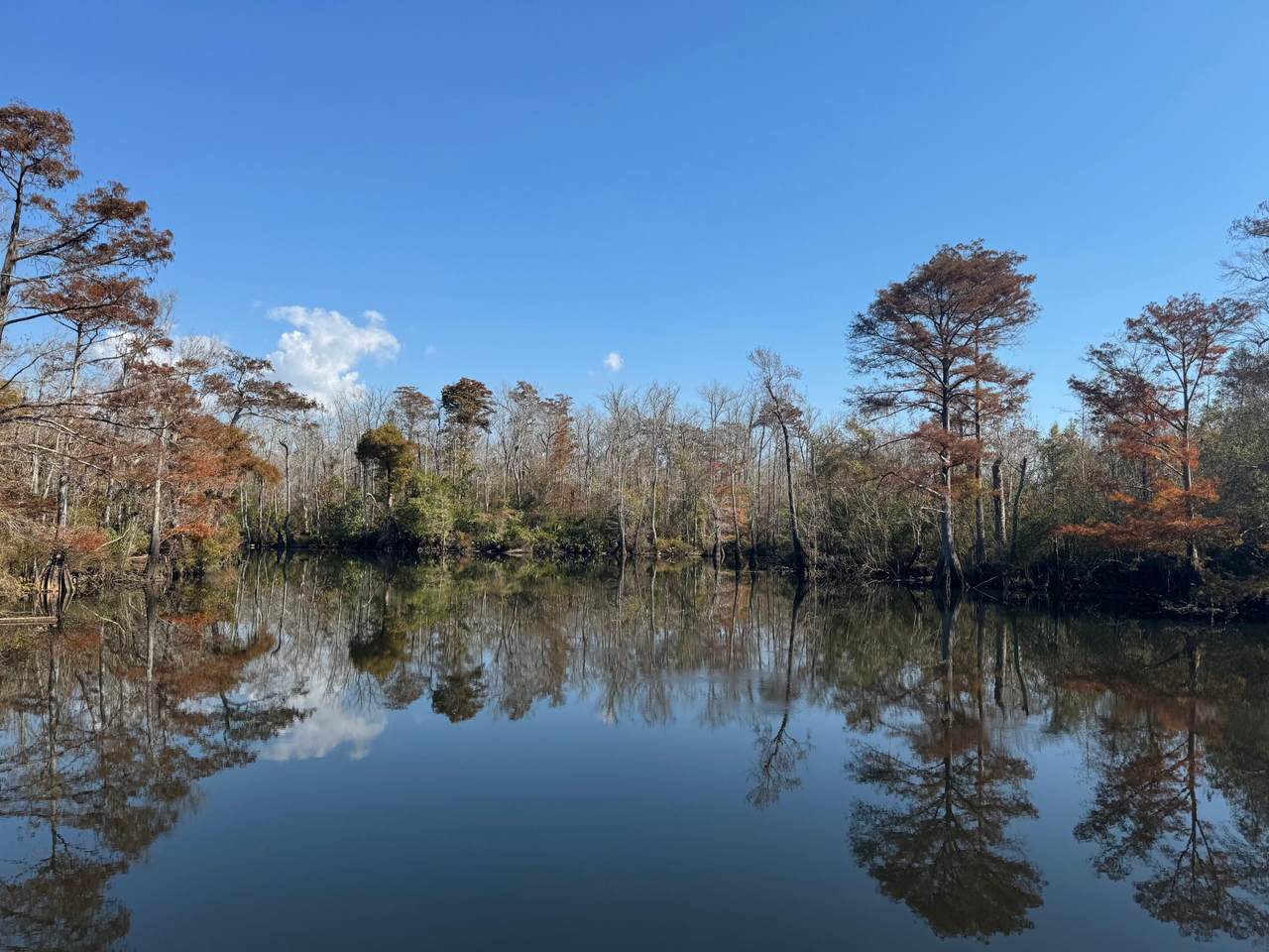 2020 Becks Lake Road - Photo 1