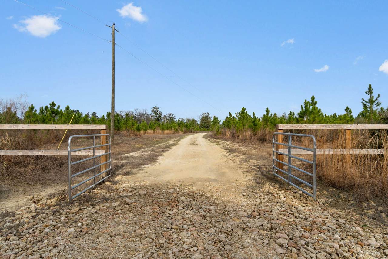 81 Acres Show Horse Way - Photo 1