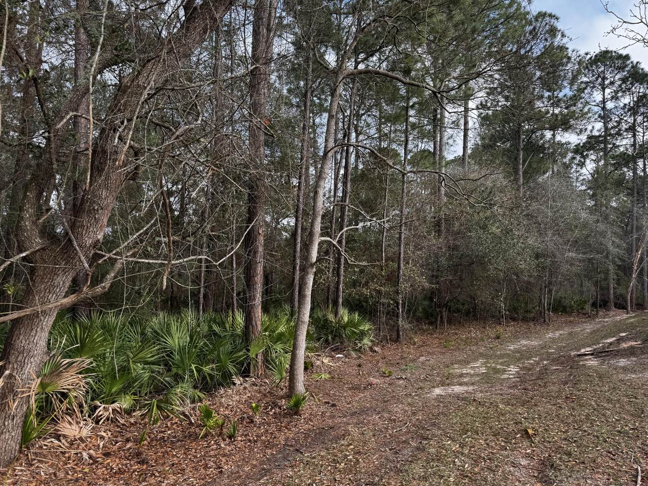 1000 Blk Blue Angel Parkway - Photo 1