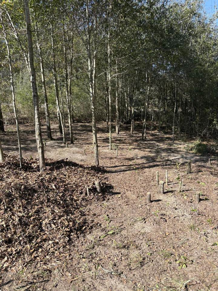 105 Eagle Court - Photo 1