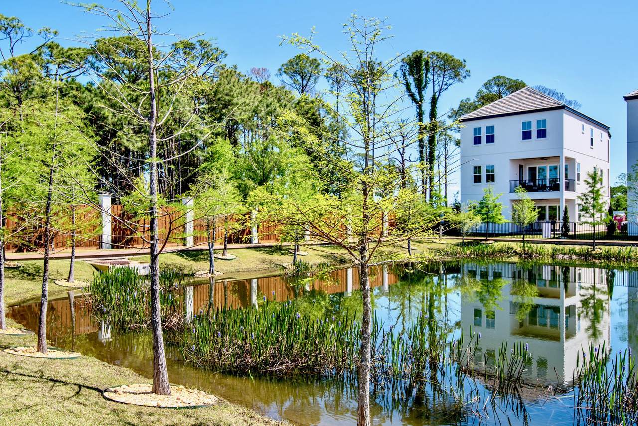 43 Calla Way - Photo 1