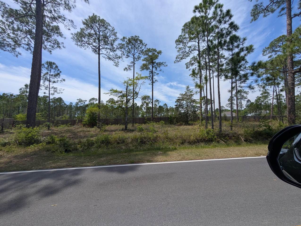0 Mcdaniels Fishcamp Road - Photo 1