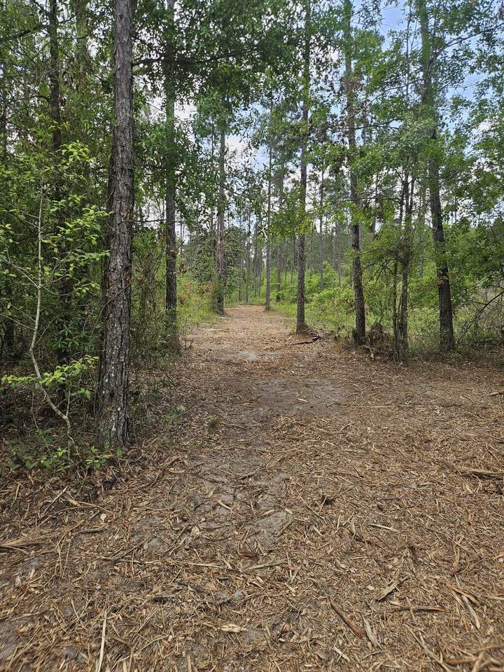 Lot 2 Rocky Creek Road - Photo 1