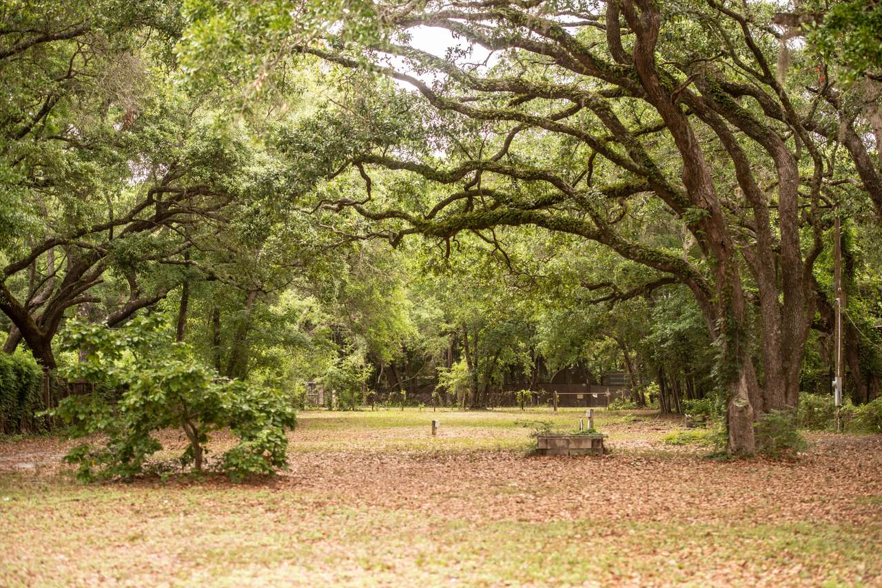 14332 Florida 20 - Photo 1