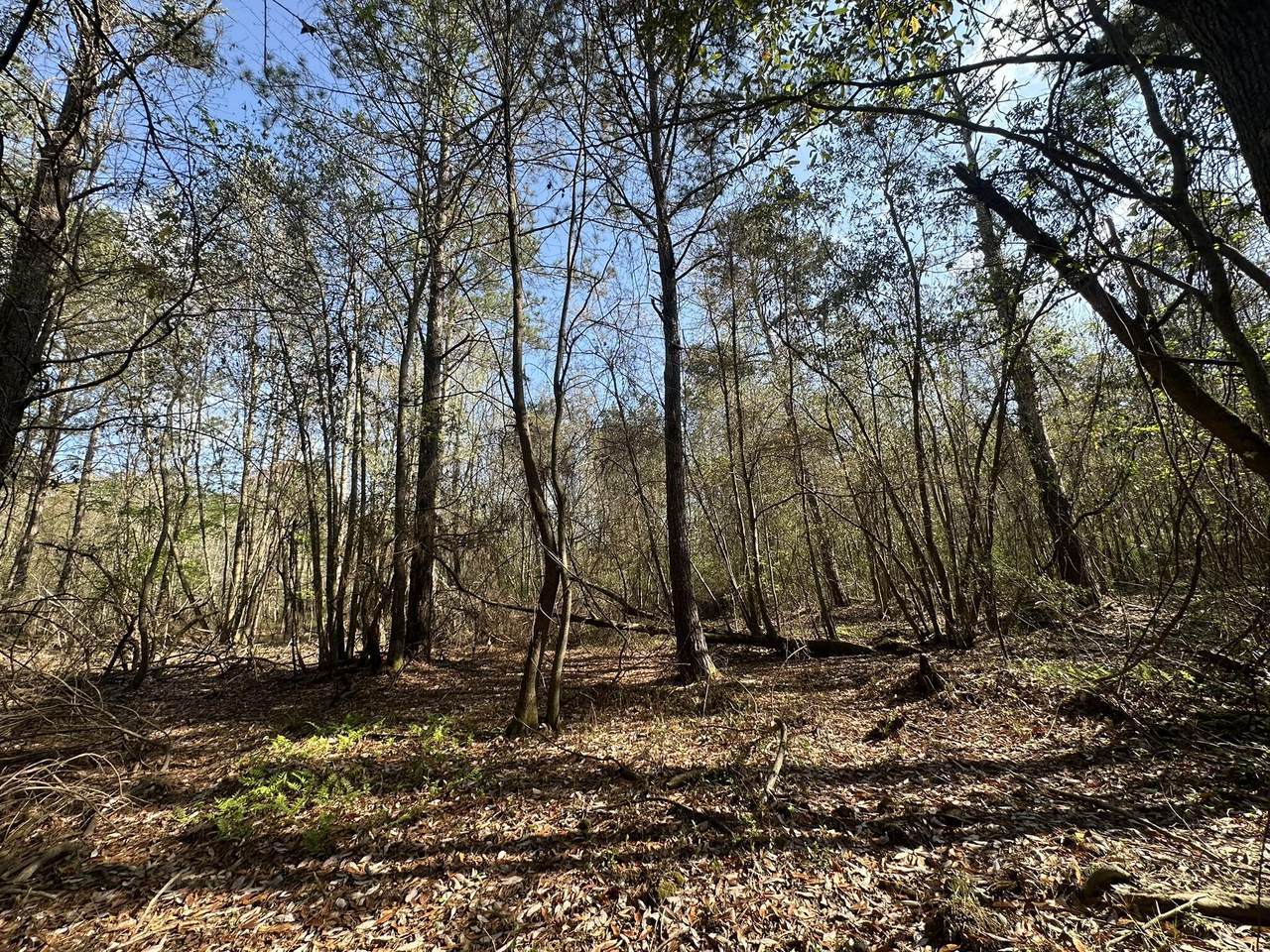 Lot E Snider Avenue - Photo 1