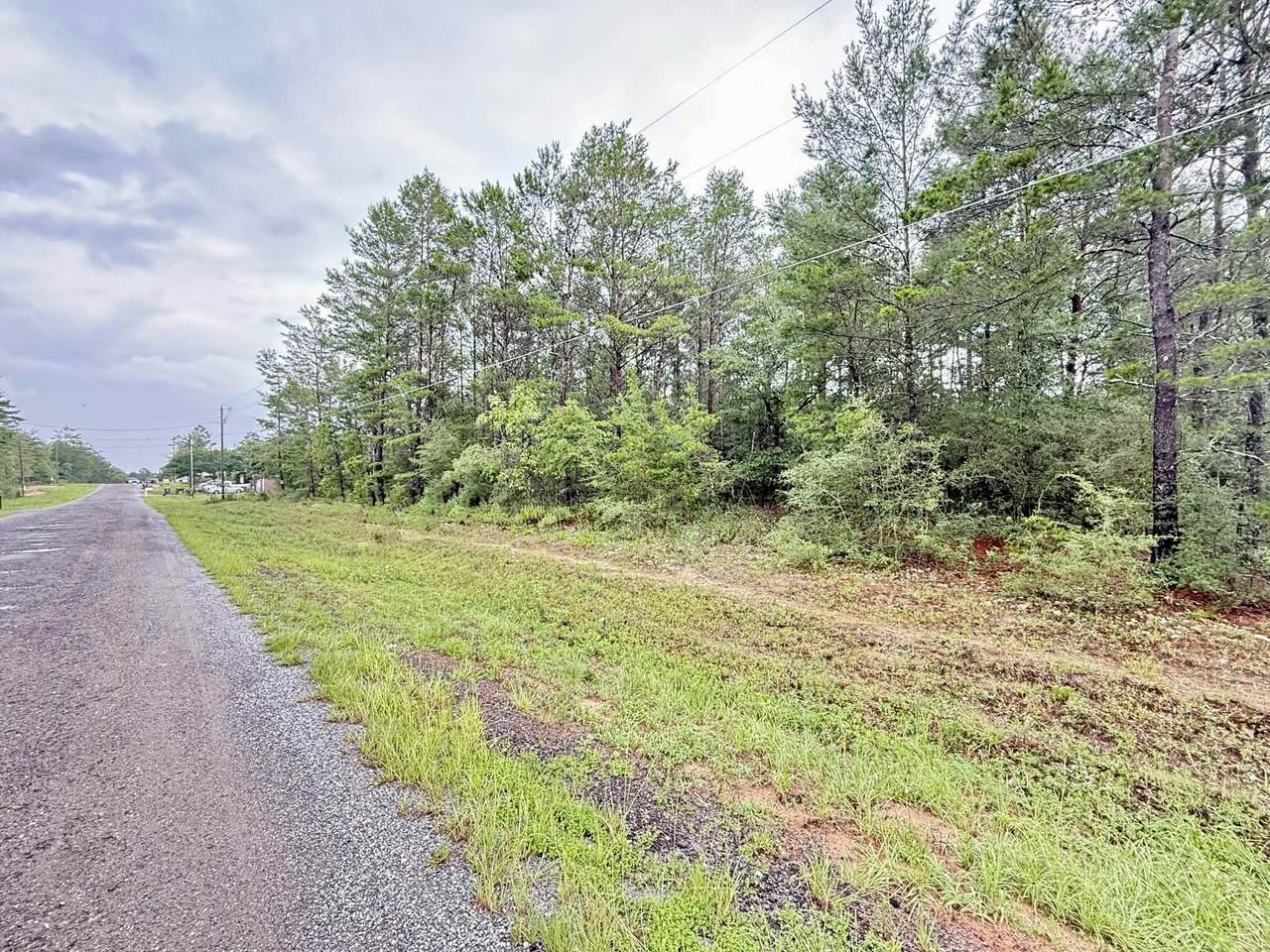 00 Primrose Avenue - Photo 1