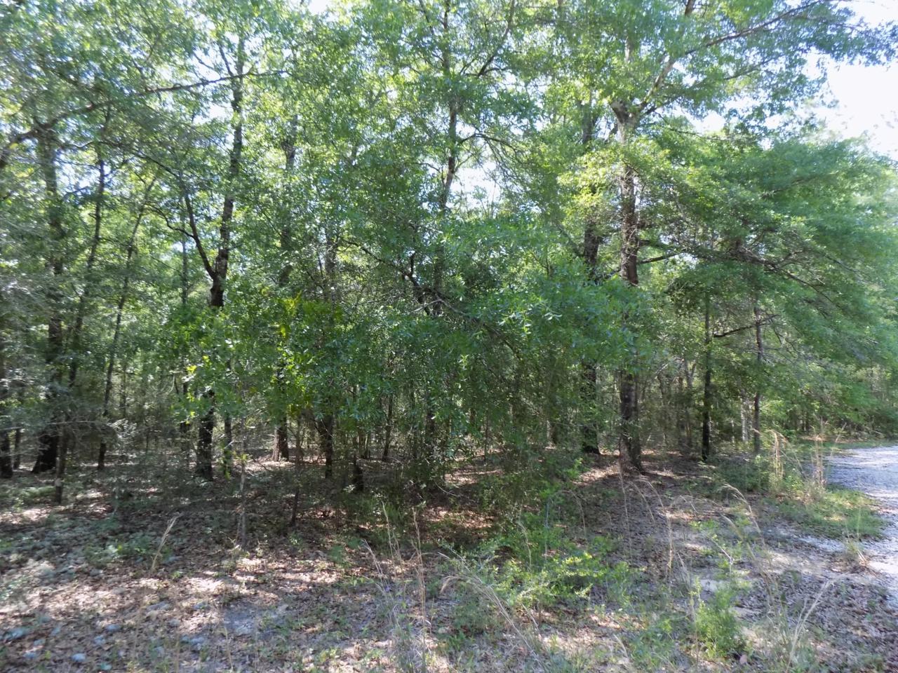 0 Spring Hill Estates - Photo 1