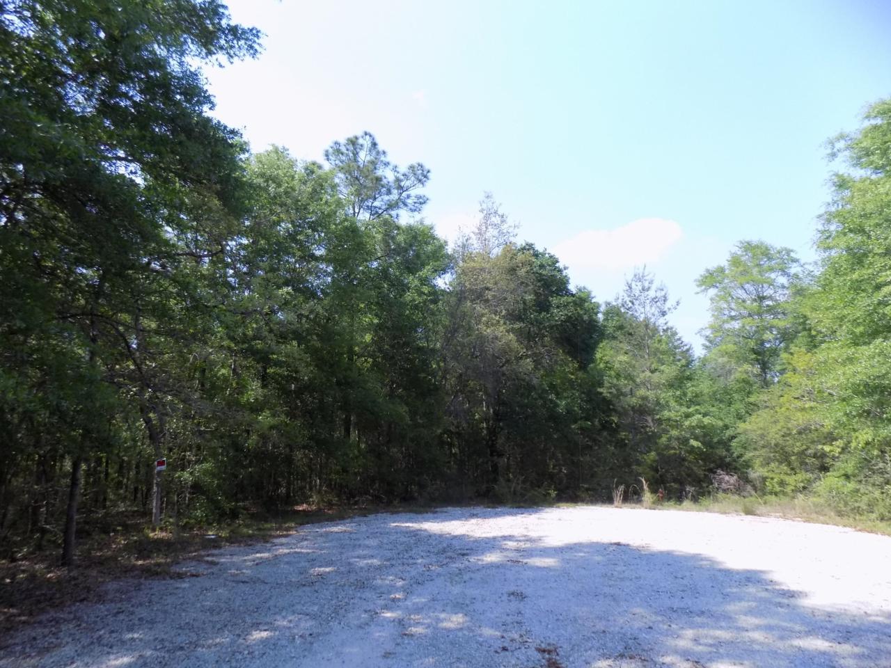 11 Spring Hill Road - Photo 1
